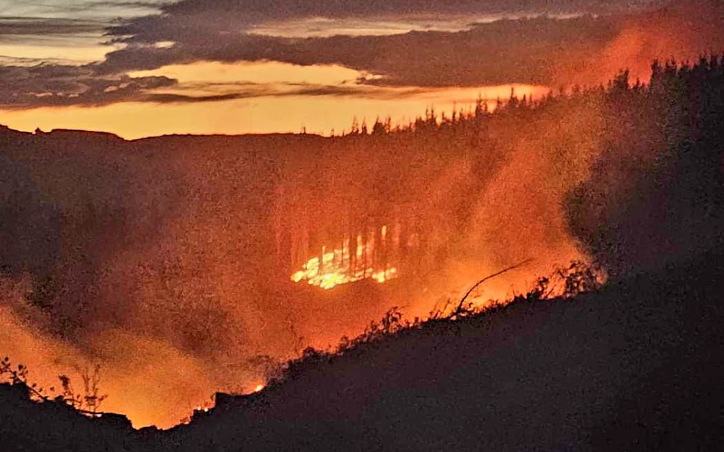 The wildfire has been burning since Thursday night. Photo: supplied/Fire and Emergency NZ