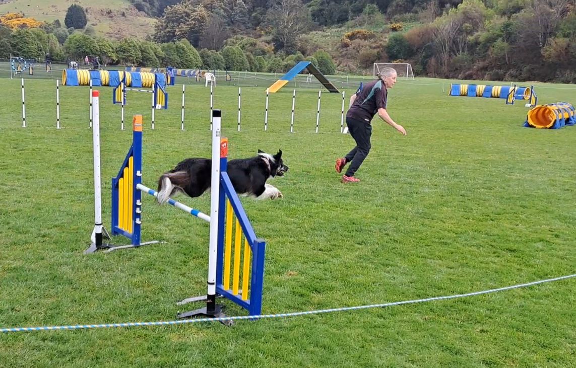 A range of obstacles tested dogs and their masters at Forrester Park over the weekend, for the...