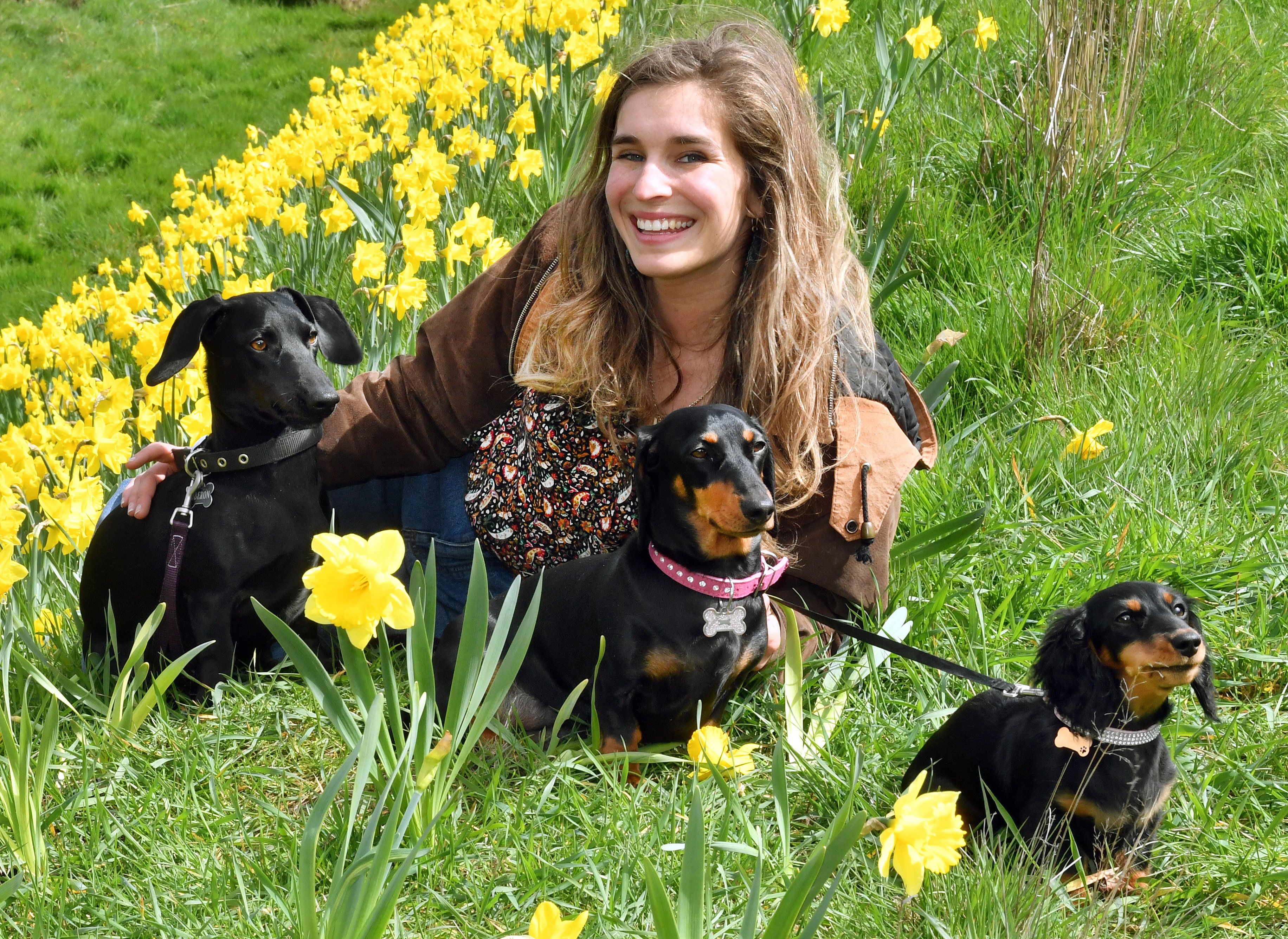 Lawrence Dachshund Derby organiser Olivia Montgomery rests among the town’s market reserve...