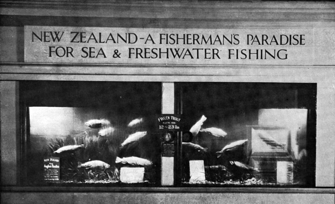 A display of frozen trout, aimed at fishing enthusiasts, in the New Zealand court at the British...