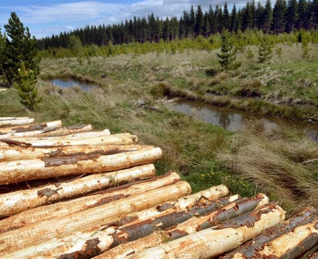 Trees provide much-needed shelter and shade for livestock, biodiversity and assist with erosion...