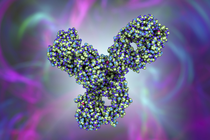 A computer model showing the structure of pembrolizumab antibody. It is a humanized IgG4 antibody...