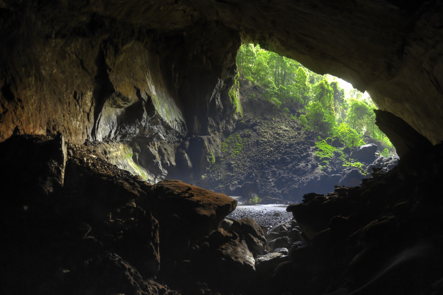 Side entrance to the Deer Cave in Borneo, Malaysia. Photo: Getty Images