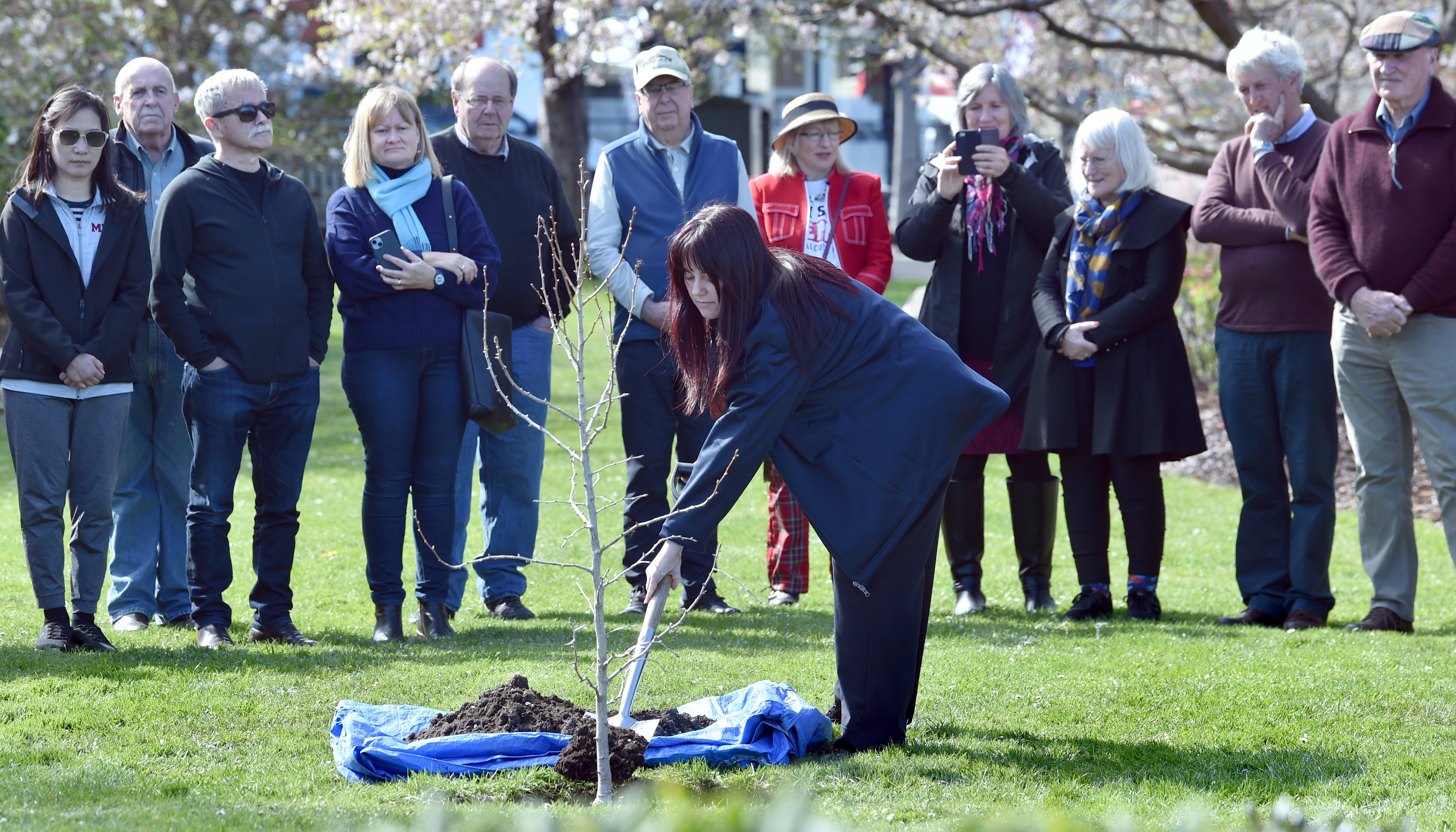 Dunedin Central Rotary Club president April Eden helps plant a ginkgo tree which can be traced...