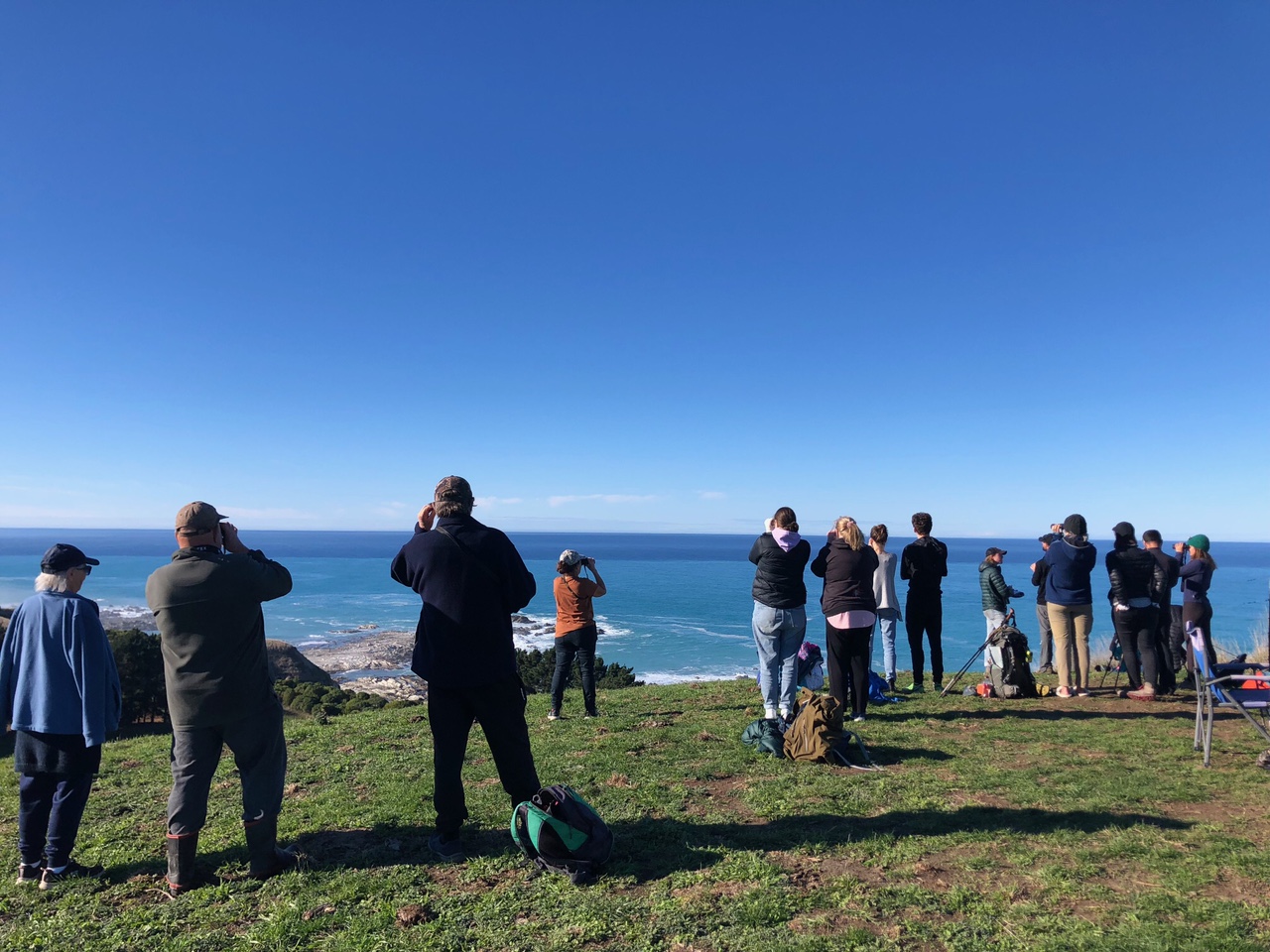 Volunteers look out for whales at the Great Kaikōura Whale Count. Photo: Supplied by Kaikōura...