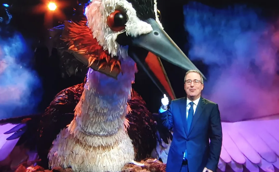 John Oliver's campaign for the pūteketeke raised global awareness of Aotearoa birds. Photo:...