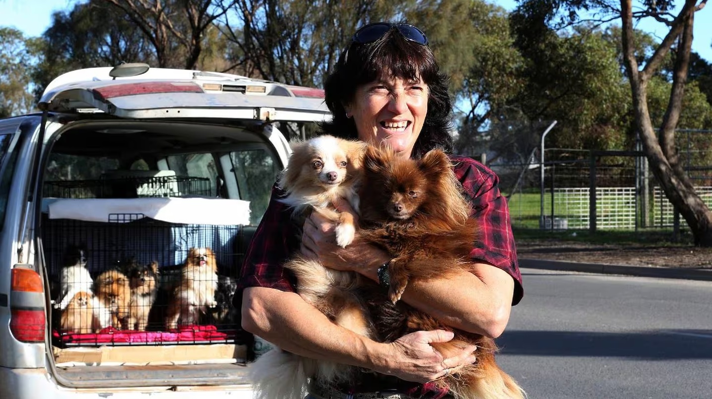 The SPCA trial against Lena Duncan continues to hit hurdles brought on by Duncan. Photo: NZME