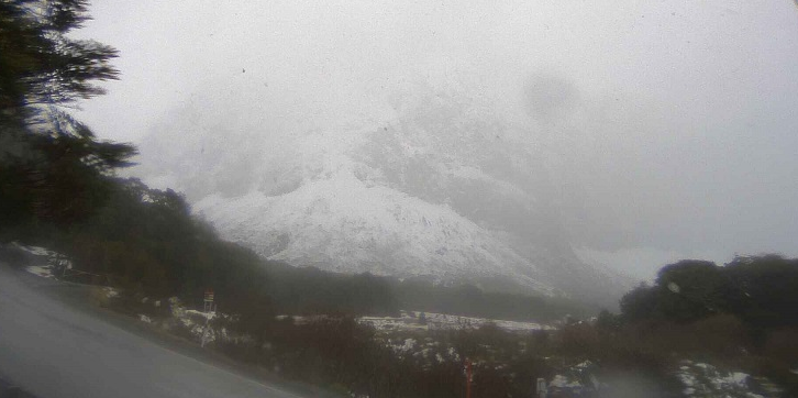 The Milford Road area late this afternoon. PHOTO: MILFORD ROAD ALLIANCE