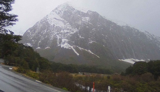 The Milford Road area this morning. Photo: Milford Road Alliance