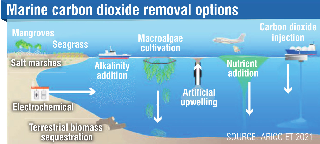 A range of interventions are being developed globally to increase the marine environment’s...