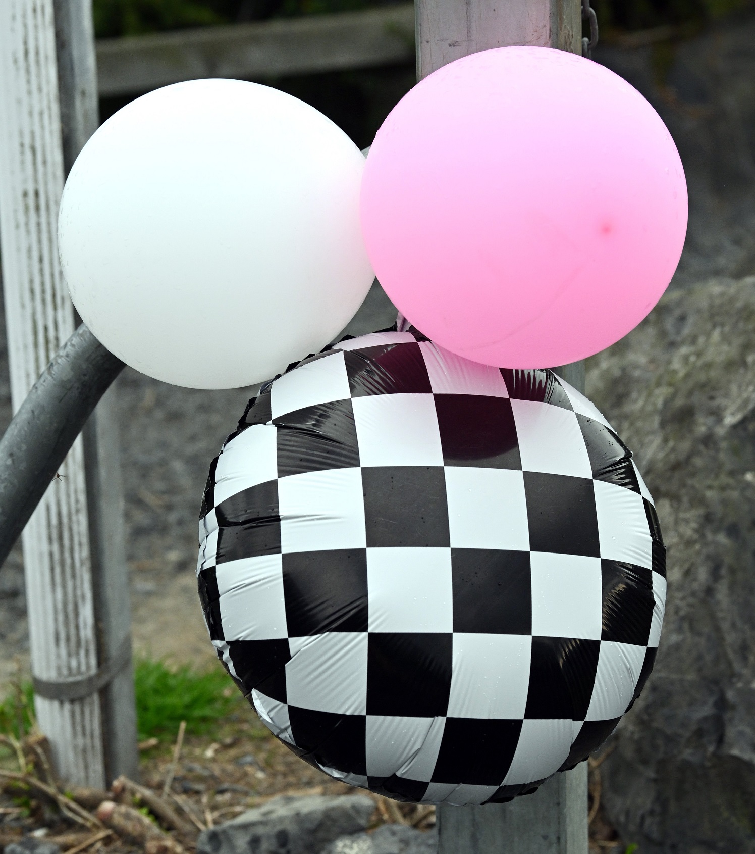 Balloons mark the women-only burnout event that raised money for The Ovarian Cancer Foundation.