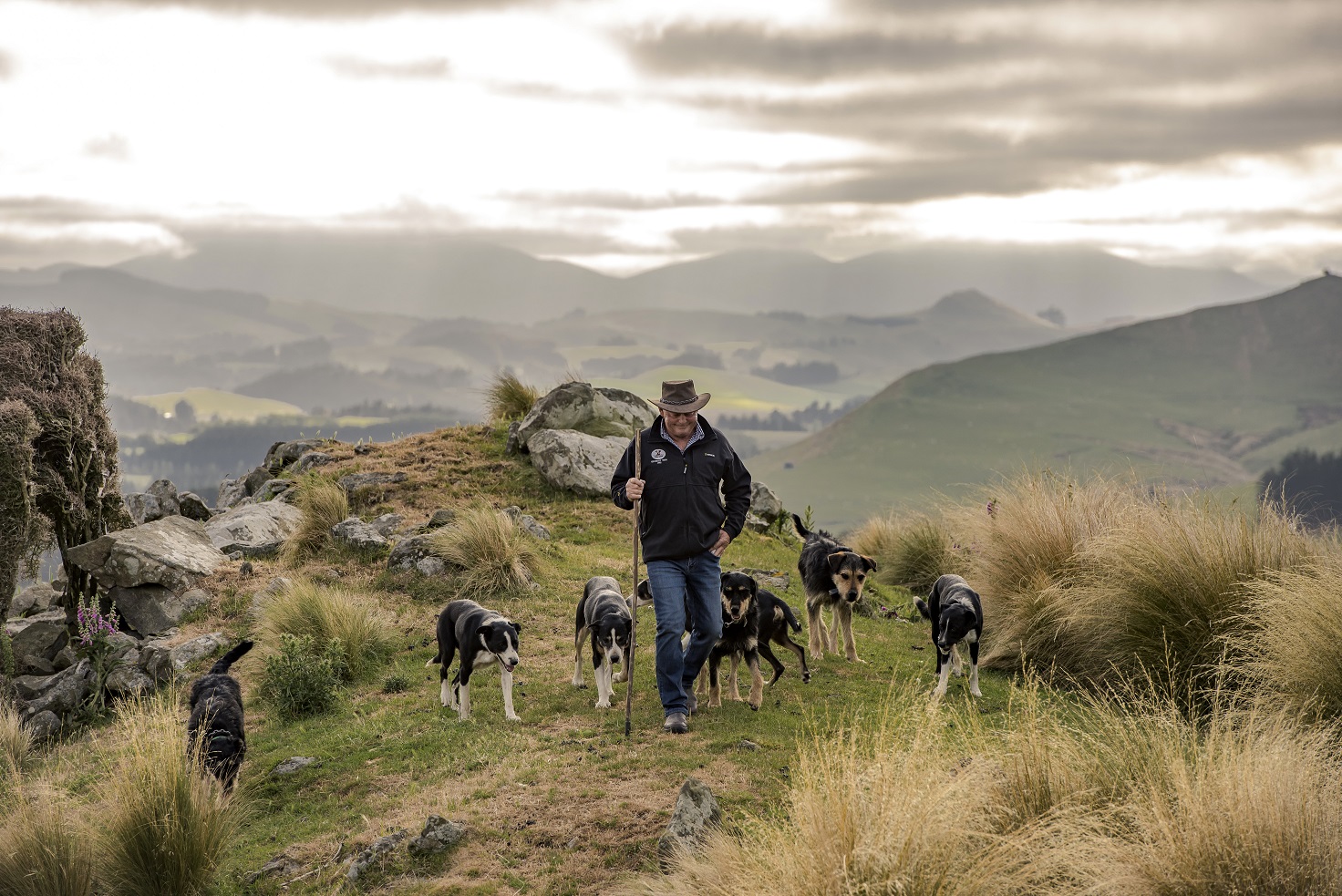 John Chittock and his dogs on Jeff Farm. Photos: Image Photography