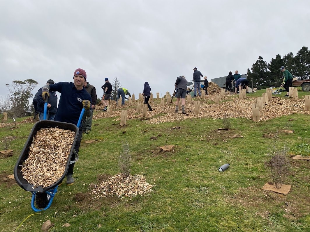 Rotary Park Redevelopment Project lead Gordon Tucker was hard at work on the wheelbarrow, as...