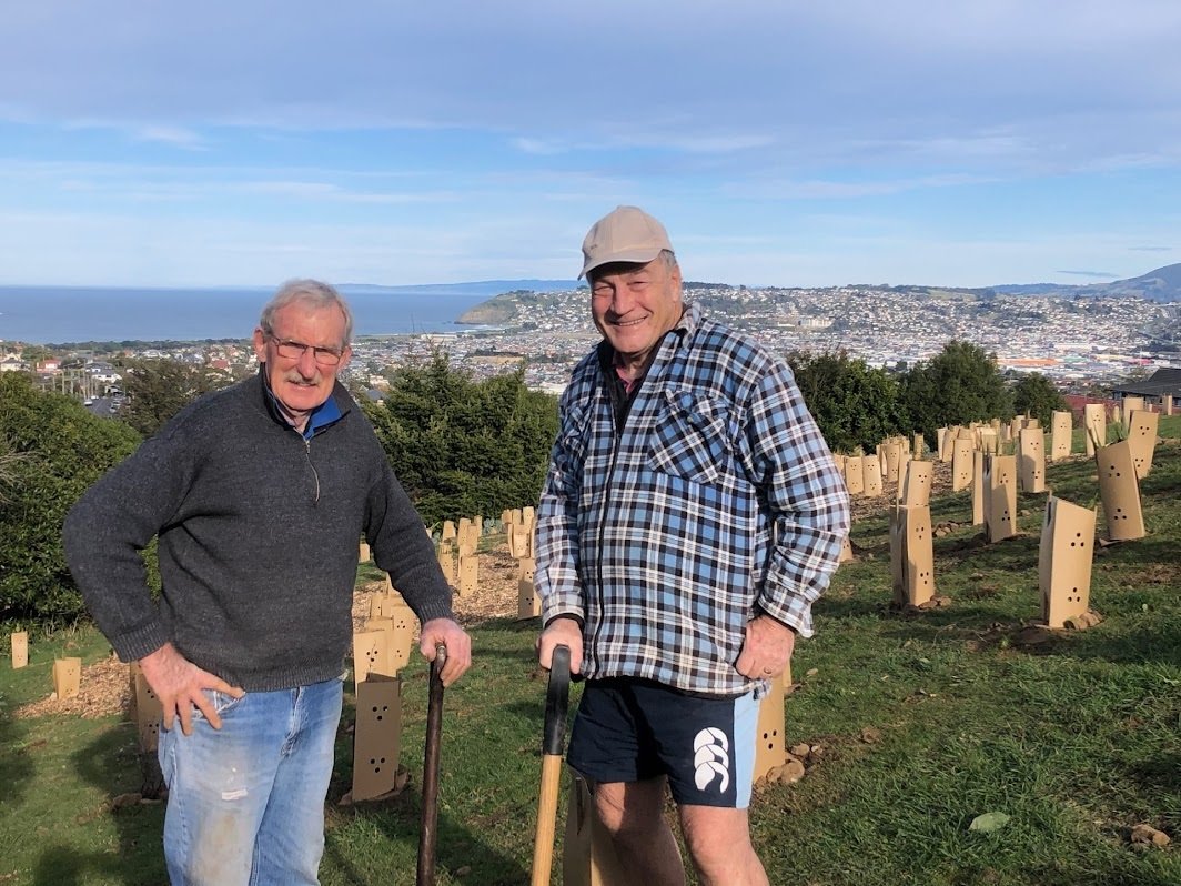 Enjoying a nice day planting native shrubs at Rotary Park, high above Dunedin, during a recent...