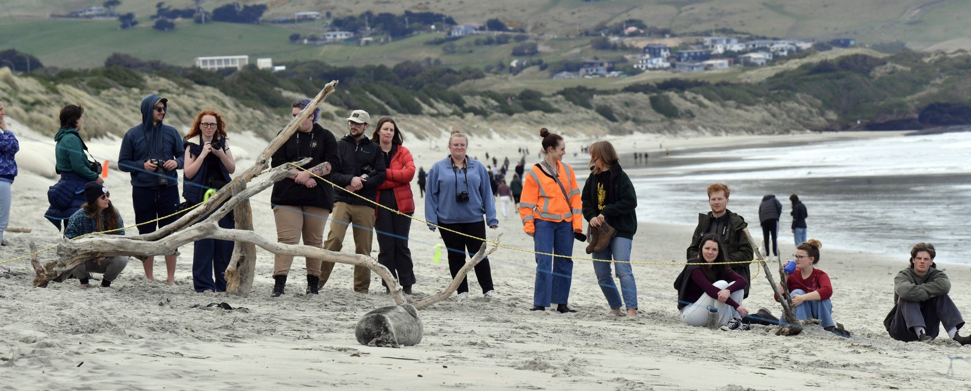 A crowd gathers to have a look at a Weddell seal at St Clair Beach yesterday. PHOTO: STEPHEN...