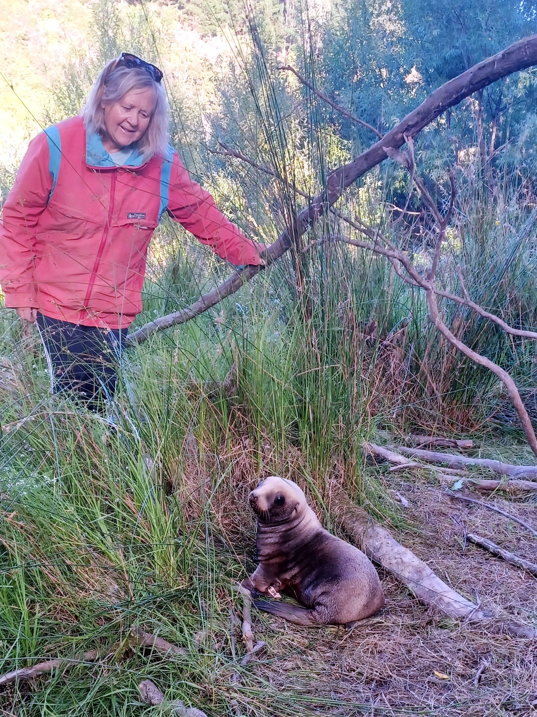 Tuapeka Mouth resident Pam Hunter gazes upon "Bluey" the sea lion pup, who was born on her and...