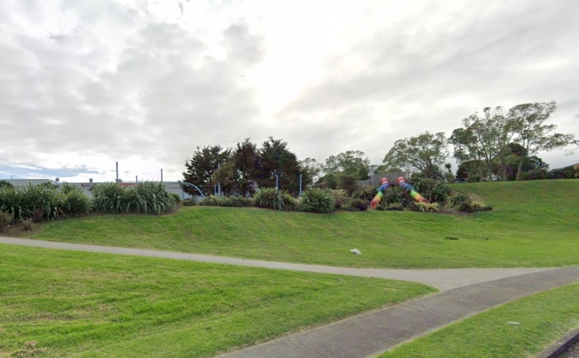 The girl was attacked in Aronia Park in South Auckland on Friday night. Photo: Google Maps