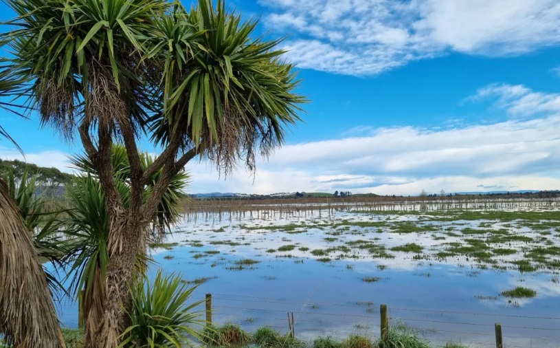 Floodwaters lingering in Clutha fields. Photo: RNZ 