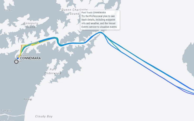 The Connemara's path on 8 October. Photo: Marine Traffic / supplied