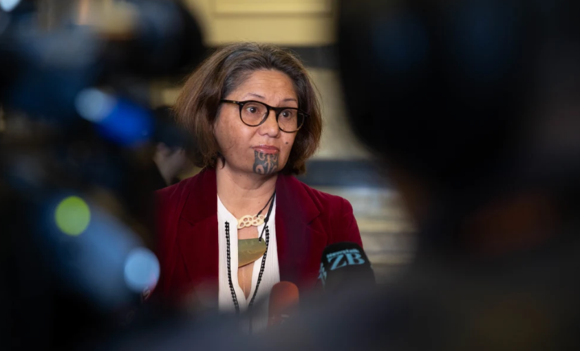 Former Green MP Darleen Tana at Parliament. Photo: RNZ (file)