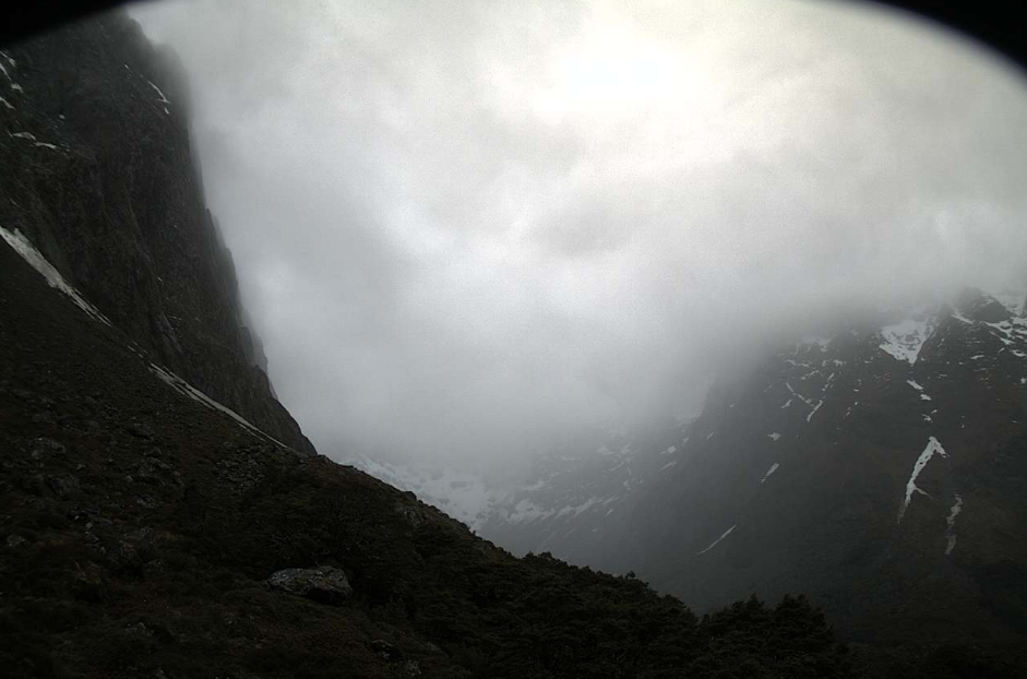 The Milford area looking at Gertrude Valley today. Photo: Milford Road Alliance 