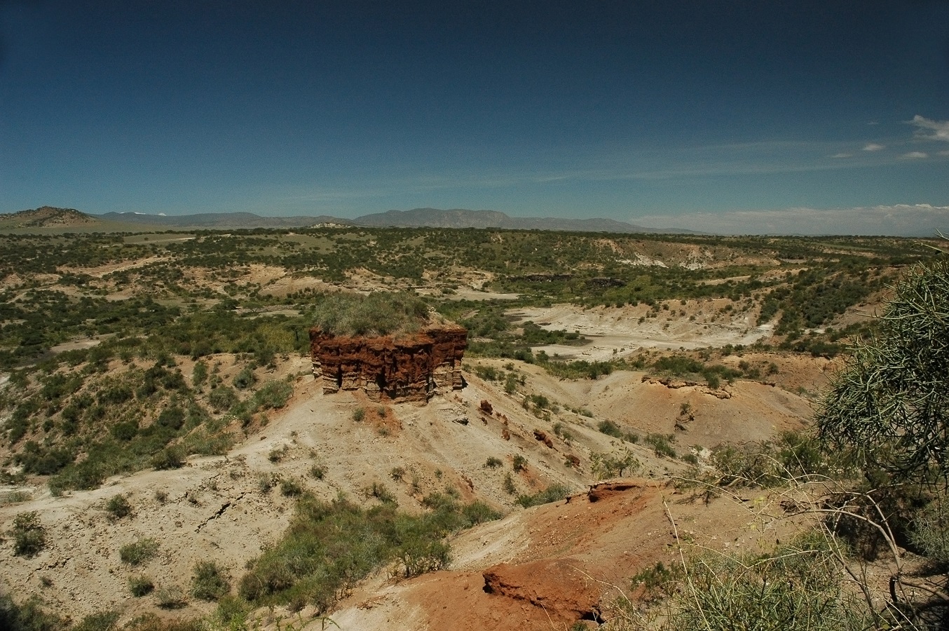 It was at Olduvai Gorge that Louis and Mary Leakey found the bones of Homo habilis. Photo: Getty...