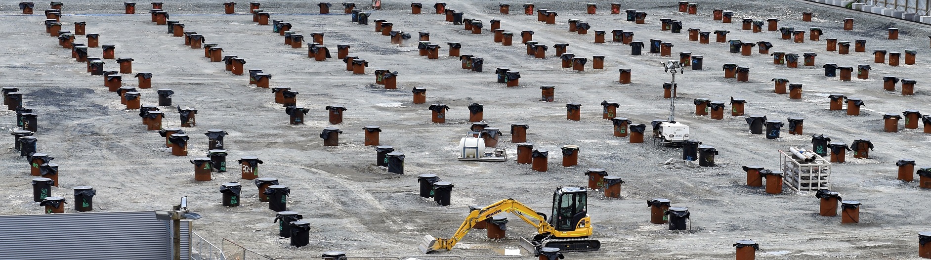 Hundreds of piles, on the old Cadbury factory site, await their fate while Dunedin people fume....