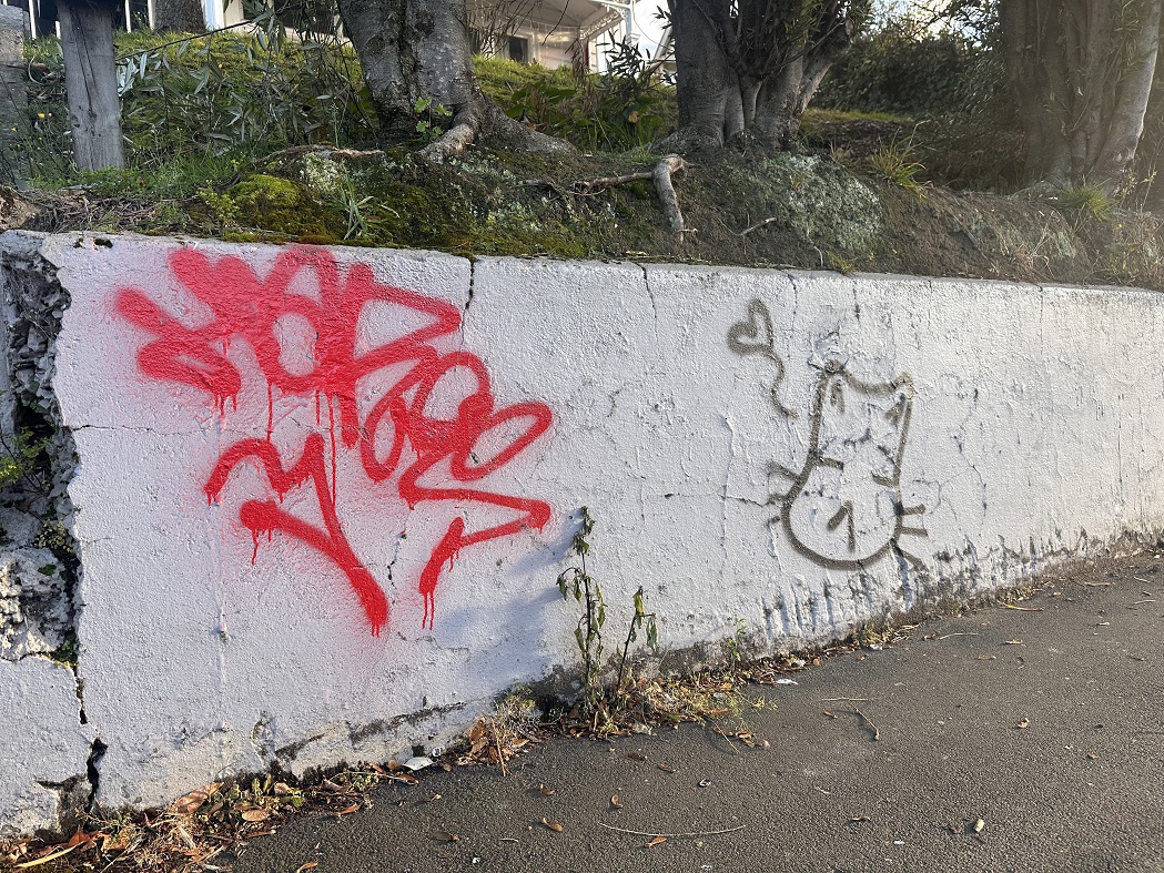 Graffiti was left in George St after a drunken night out. Photo: Laine Priestley