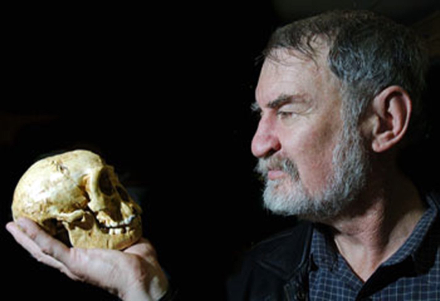 Mike Morwood holding the skull of Homo floresiensis. Photo: Mike Morwood