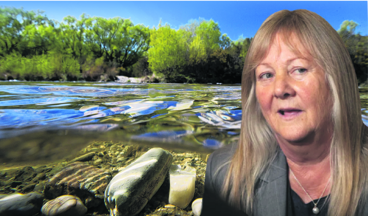 Environment Minister, Penny Simmonds. PHOTO: SUPPLIED