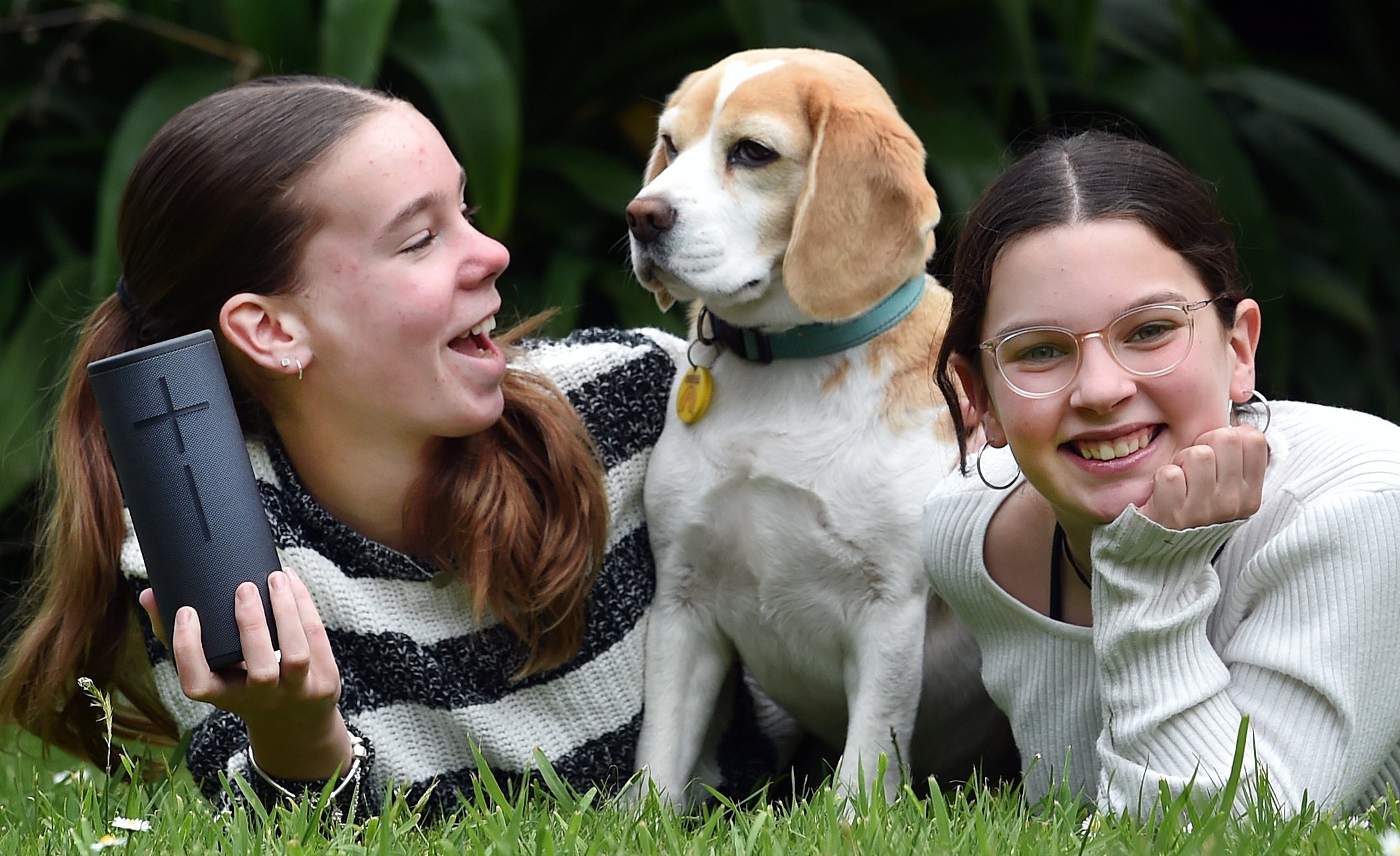 Stella, the beagle, and her owners Frankie and Ruby are ready to tune in to New Zealand’s first...