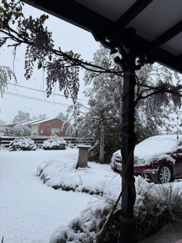 Snow has settled on the ground in Twizel this morning. Photo: Emma Bass via RNZ