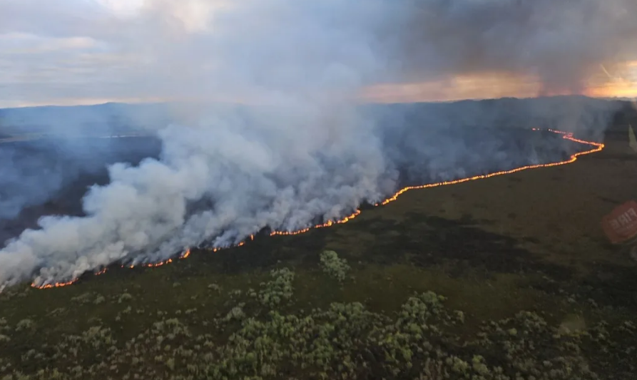 Doc regional director Tinaka Mearns says animals have died in the fire and there had been an...