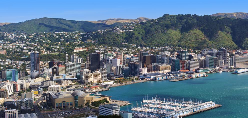 Wellington. File photo