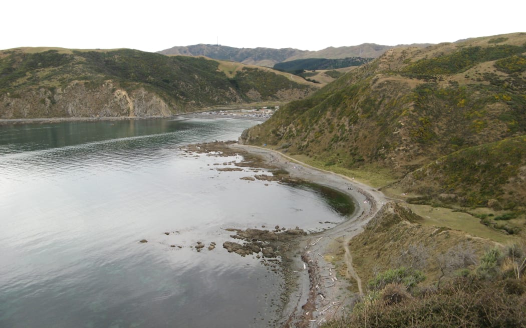 Makara Beach, north of Wellington. (File photo)