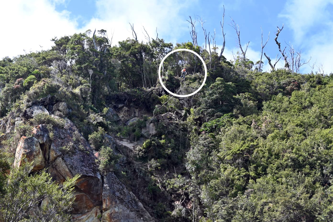 An abseiler (circled) inspects a large slip in the Knights Point area on the West Coast yesterday...