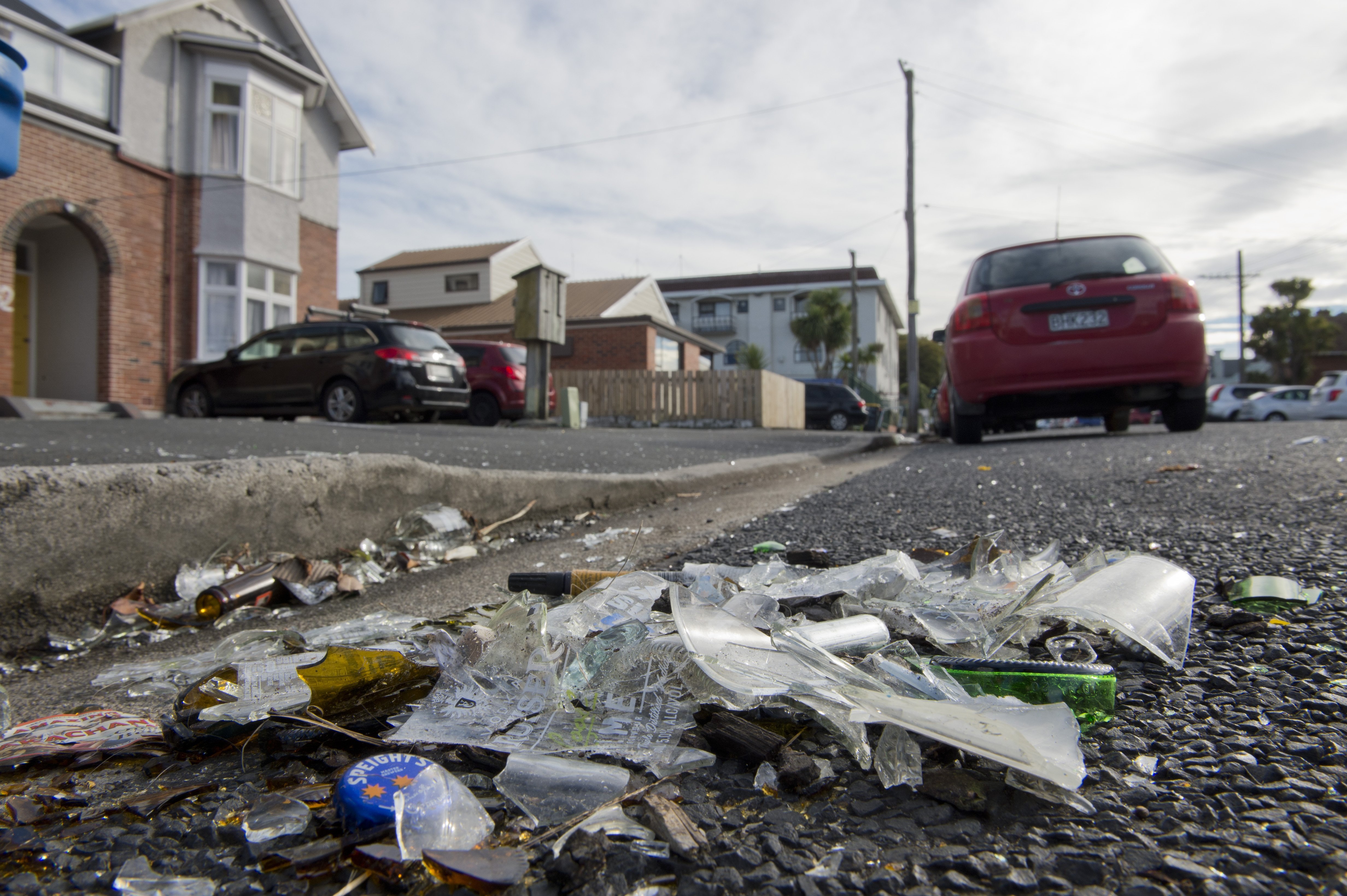 The University of Otago proctor has joined police in calling for a ban on the sale of alcohol in...