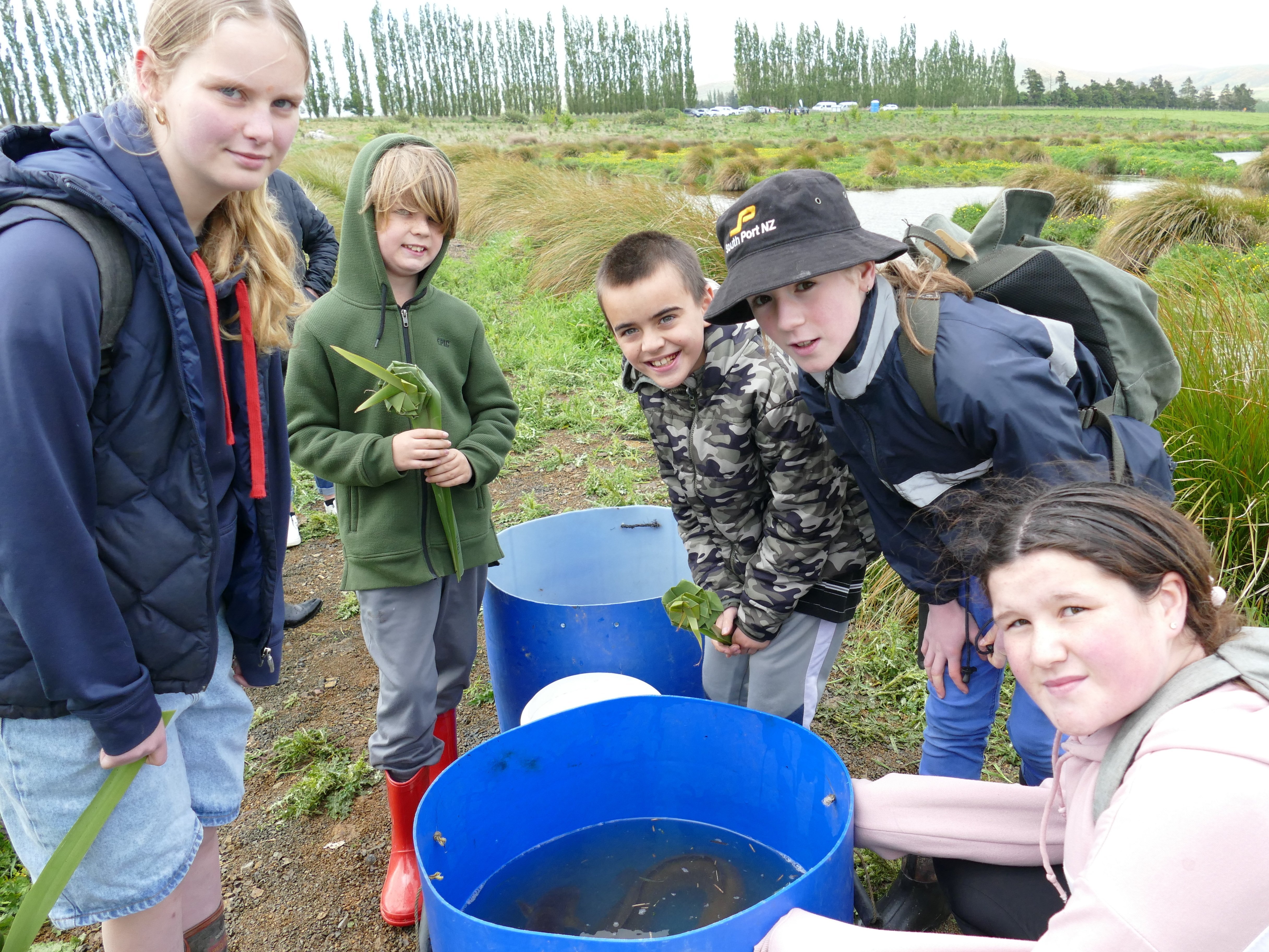 Examining a bucket of longfin eels during the Waipahi Wetland Enviroschools Junior Landcare...