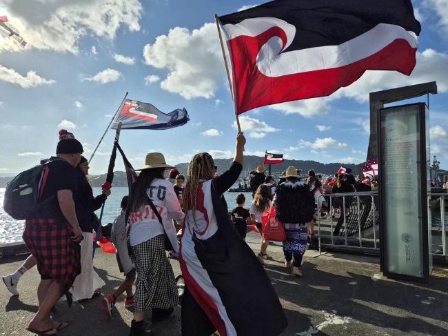 Protesters making their way to Parliament in Wellington yesterday. Photo: RNZ