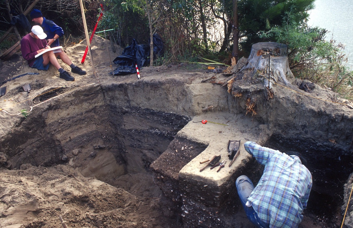 Excavations at Pūrākaunui have identified the remains of kūmara, a plant brought back from South...