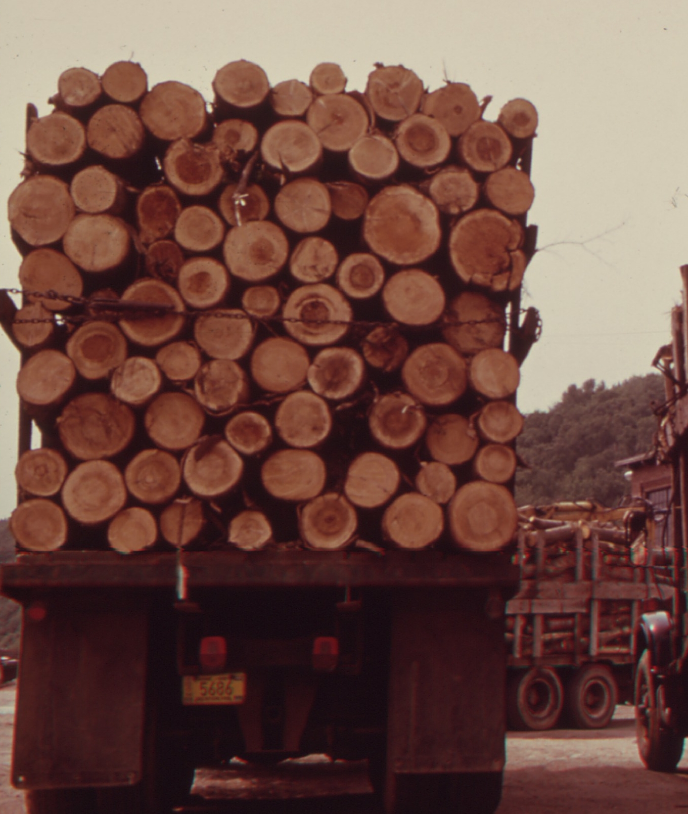 logging-truck.jpg