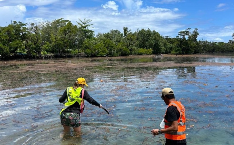 Field workers from the Ministry of Works in Samoa carry out shoreline monitoring of the impact...