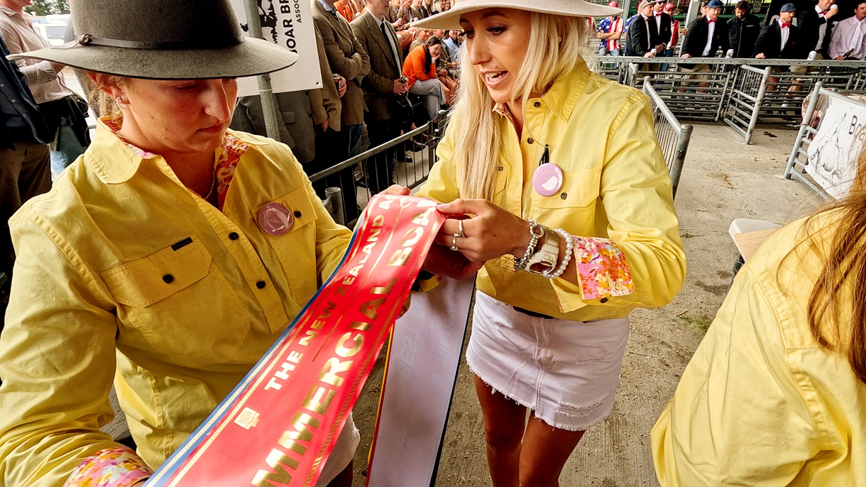 A record number of ribbons were awarded in the stock judging competitions this year. Photo: Geoff...