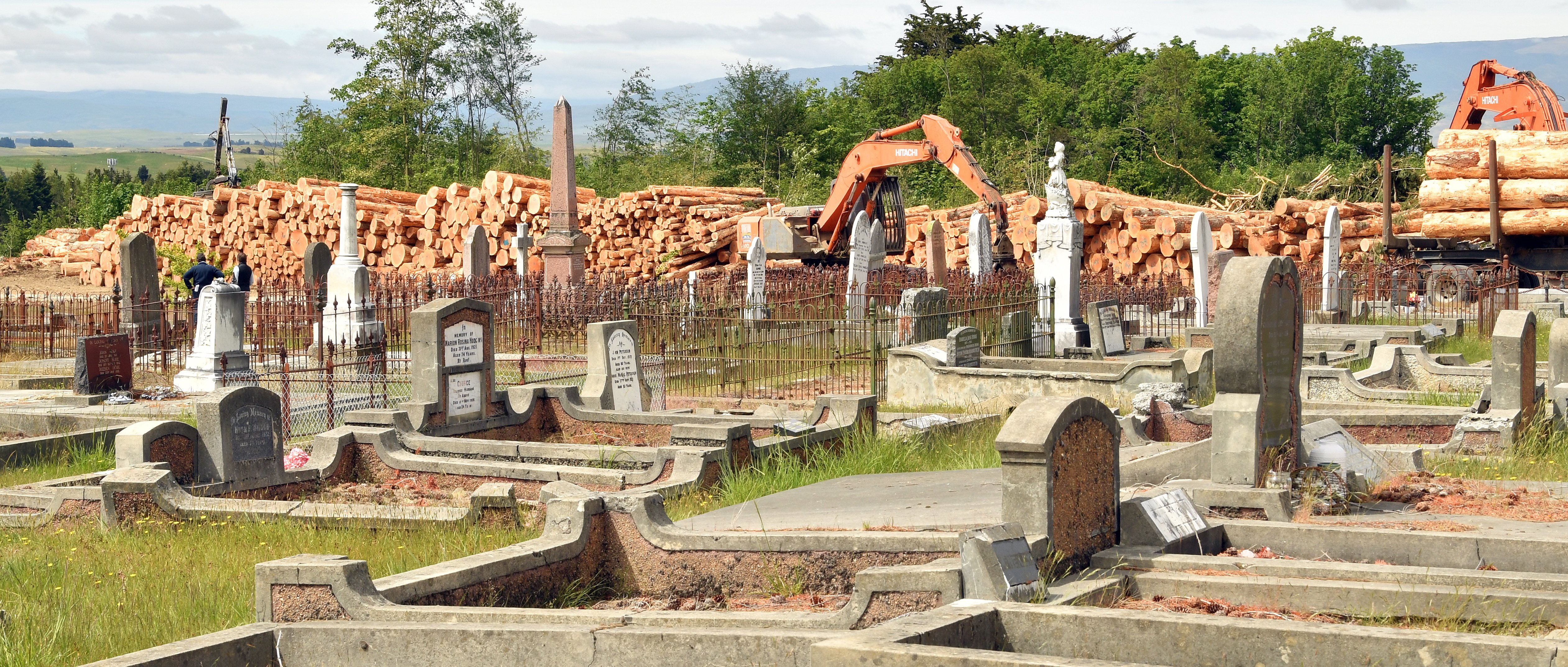 Felled logs are stacked on the perimeter of Naseby cemetery. PHOTOS: STEPHEN JAQUIERY