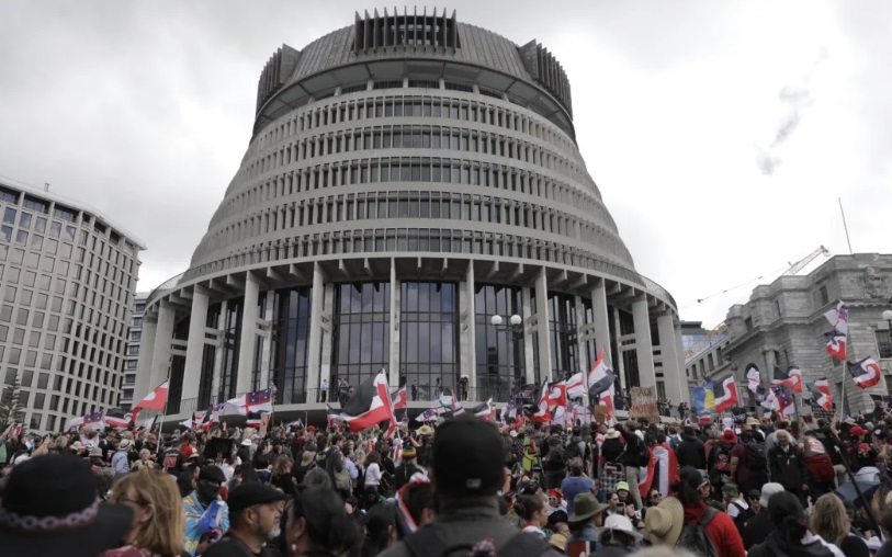 Tens of thousands of protesters gathered outside Parliament in Wellington, demanding the Treaty...