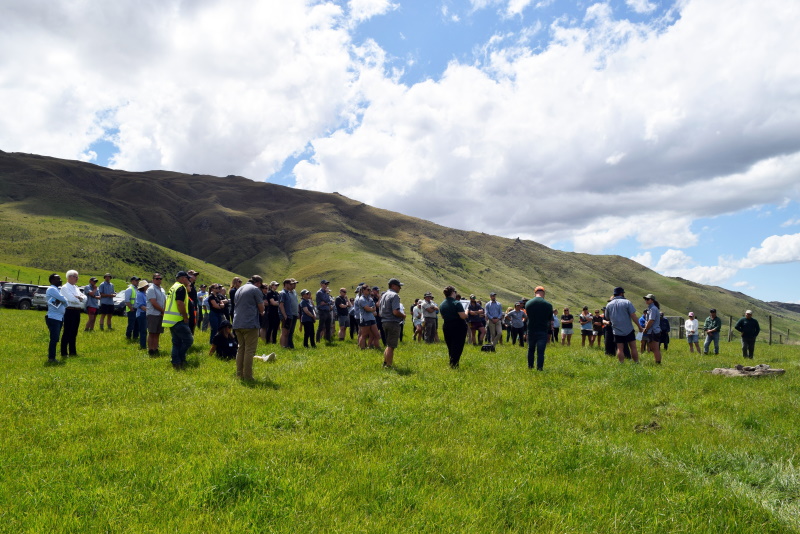 Nearly 100 people attended an open day on sheep and beef farm The Wandle, which included a stop...