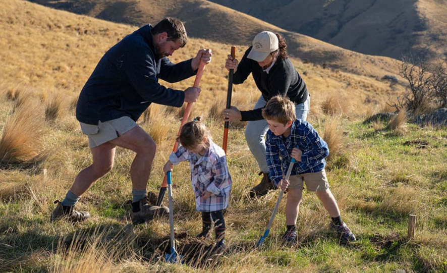 Middlemarch farmers Gus and Tara helped split the Swanni into three pieces and buried each in the...