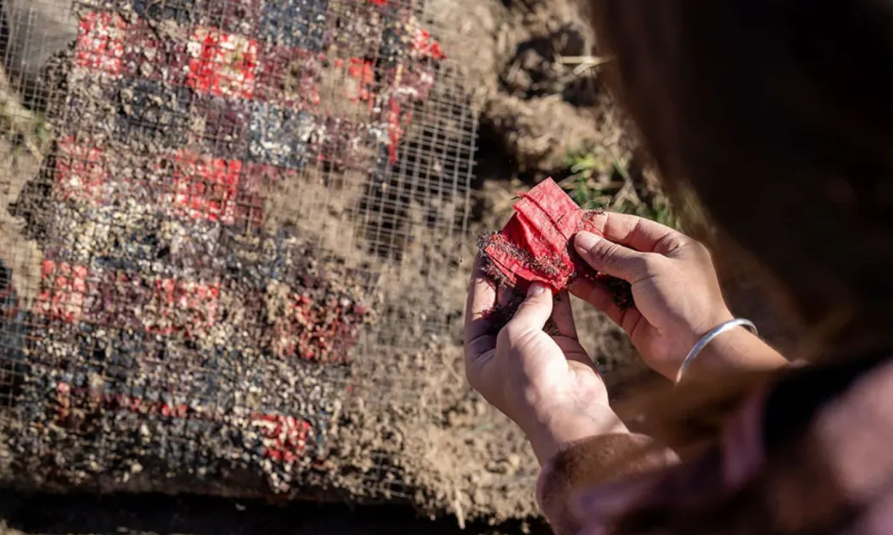 Sandwiched in mesh wire and buried 30cm deep, the final piece of the 31-micron strong wool shirt...