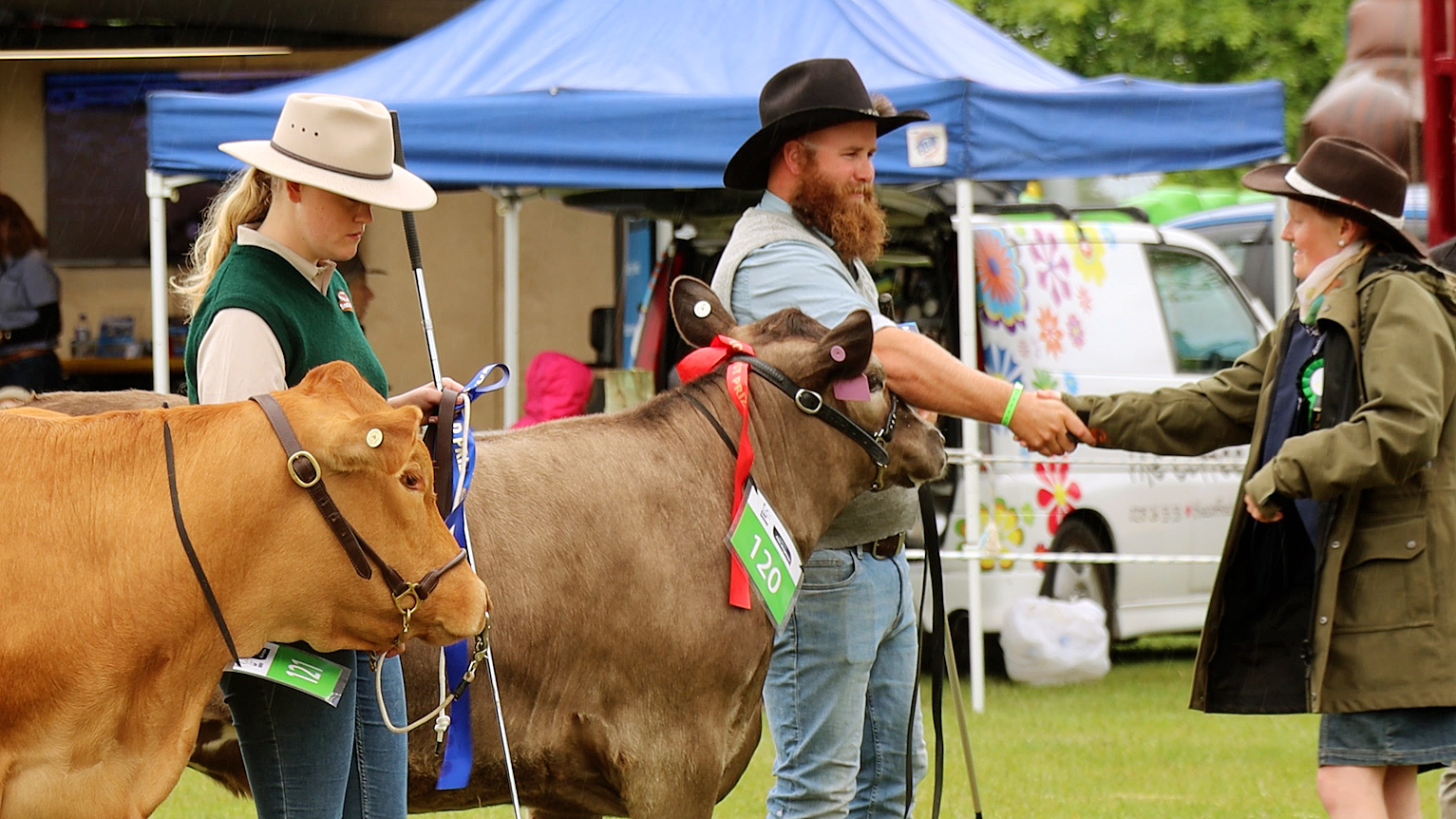 The traditional livestock judging competitions were popular with the crowd. Photo: Geoff Sloan