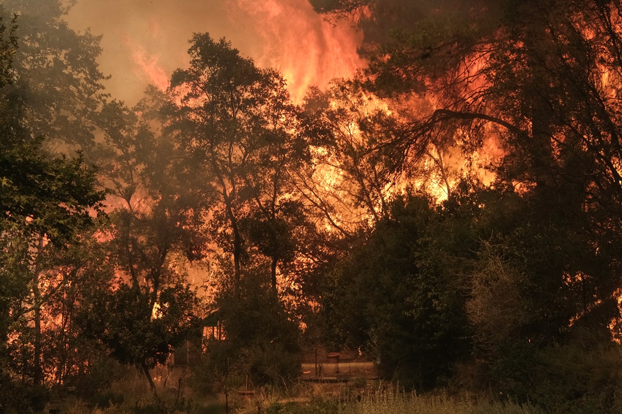 Flames rise from a wildfire burning in Nea Penteli, Greece earlier this week. Photo: Reuters